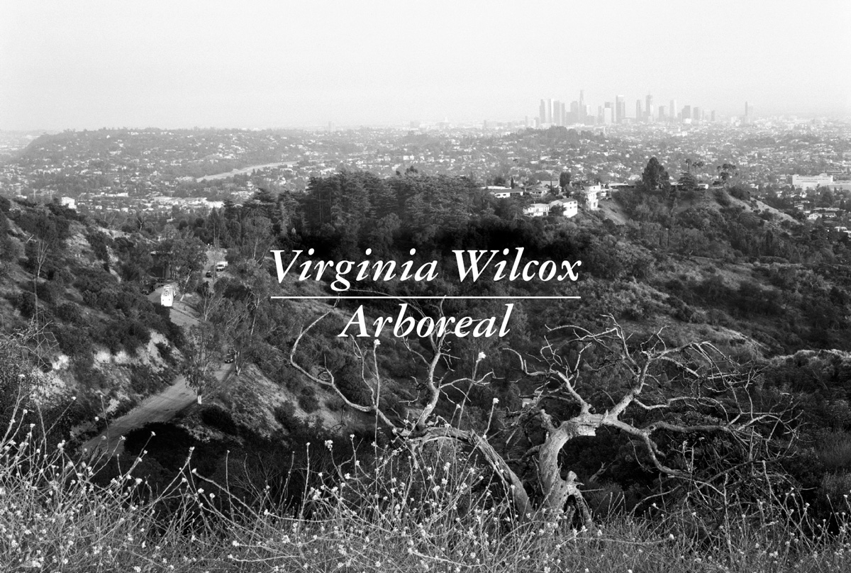 VIRGINIA WILCOX - ARBOREAL